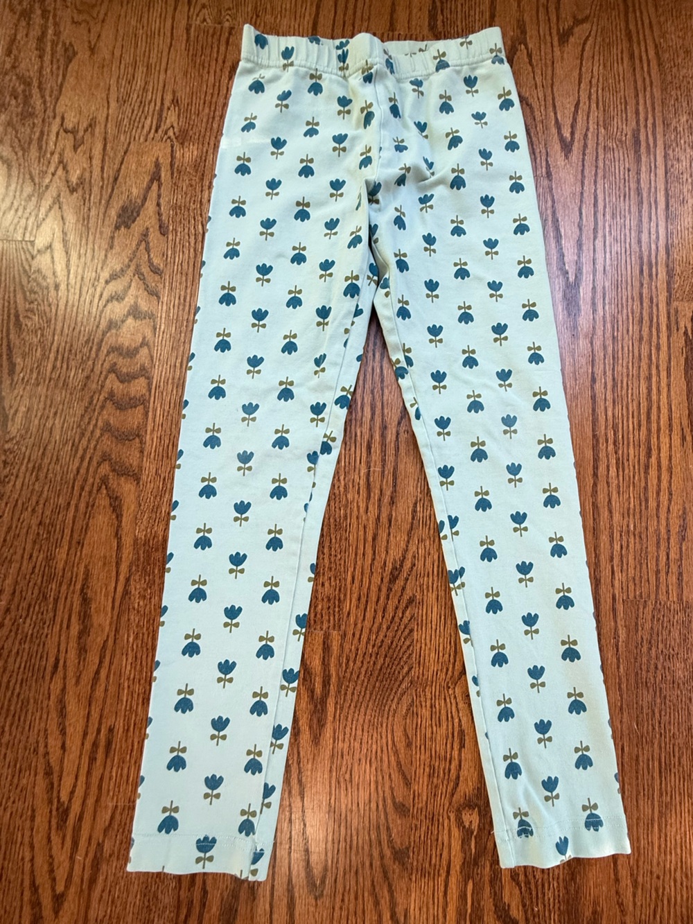 Hanna Andersson Mint Leggings with Blue Tulips Sz 8
